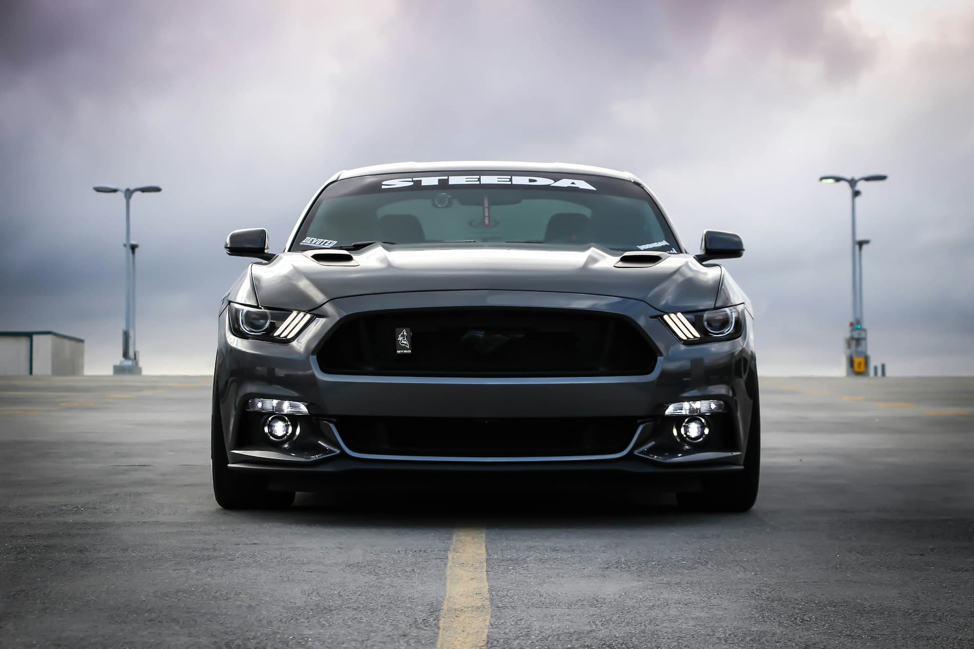 Ford Mustang GT Premium, 2020 — импорт из США
